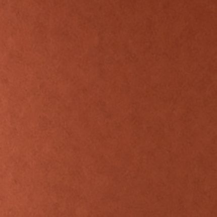 Tints 20529